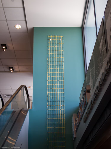 E8123009|1/80 sec at f / 5.0|31 mm|ISO 400