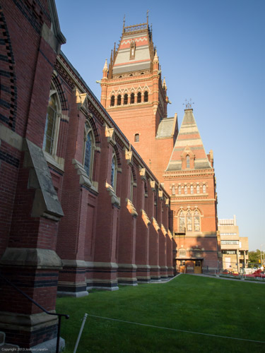 E8123025|1/320 sec at f / 7.1|15 mm|ISO 400