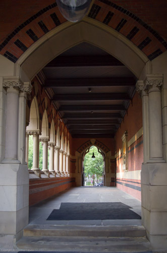 E8123026|1/80 sec at f / 3.5|14 mm|ISO 400