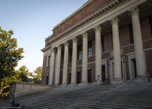 E8123031|1/200 sec at f / 5.6|14 mm|ISO 400