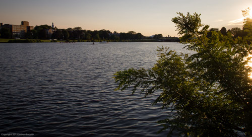 E8123039|1/500 sec at f / 10|14 mm|ISO 400