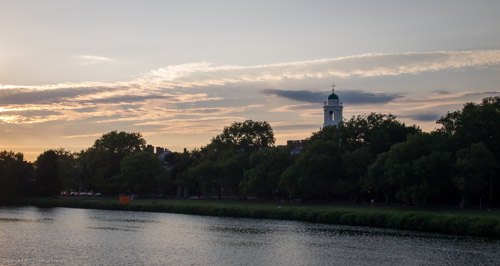 E8123045|1/320 sec at f / 10|25 mm|ISO 400