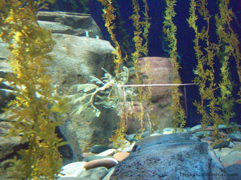 P9080090