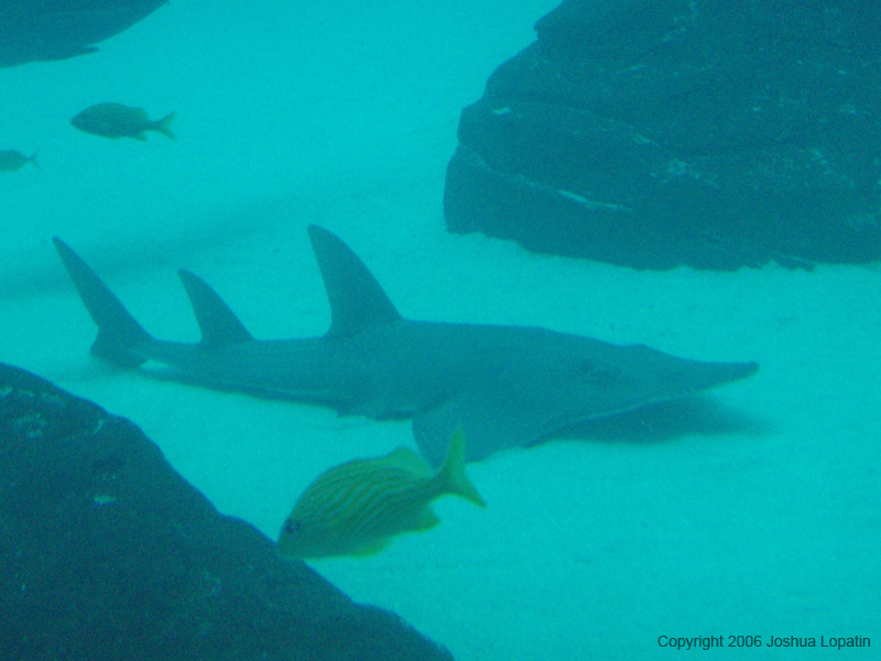 P9080125