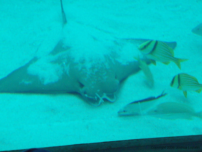 P9080126