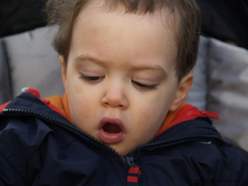 Disney slide show - 035