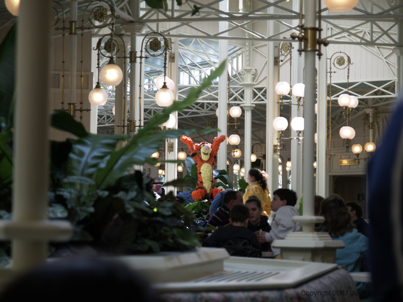 Disney slide show - 045