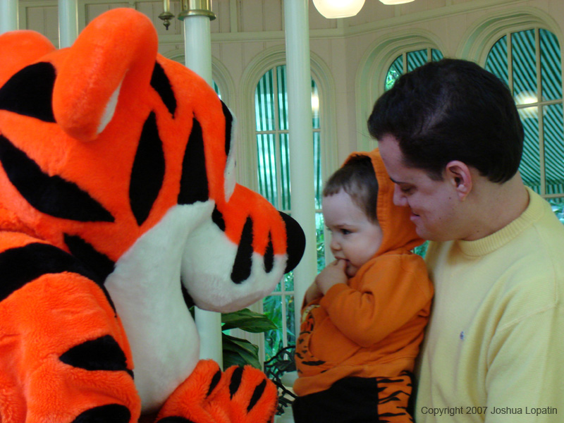 Disney slide show - 050