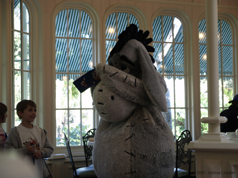 Disney slide show - 053