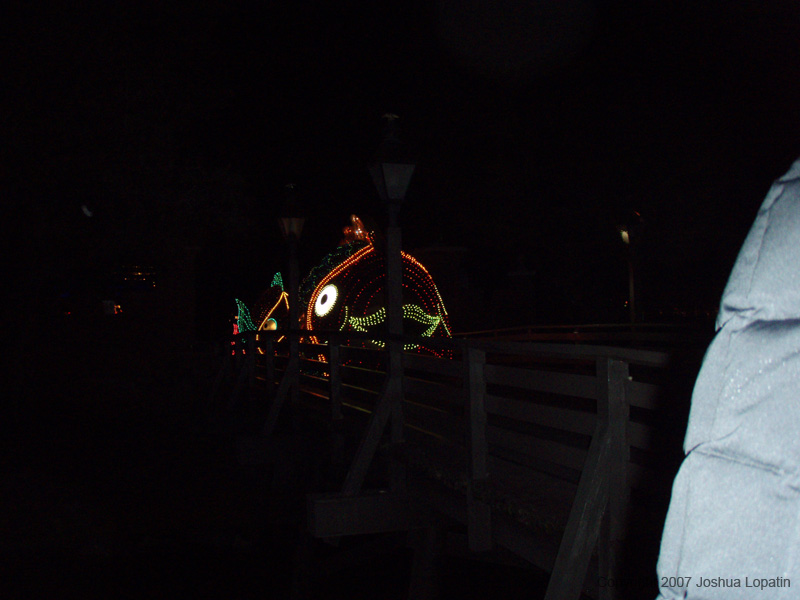 Disney slide show - 068