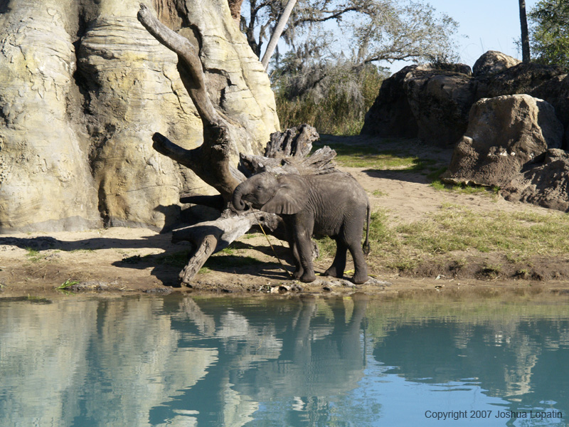 Disney slide show - 089
