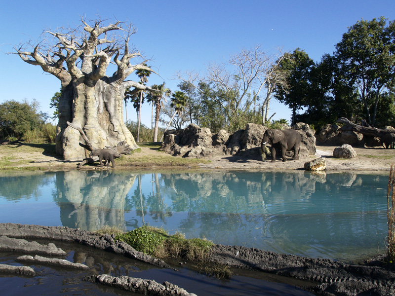 Disney slide show - 091