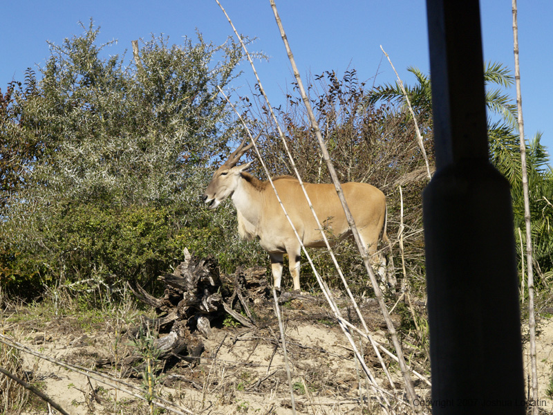 Disney slide show - 092