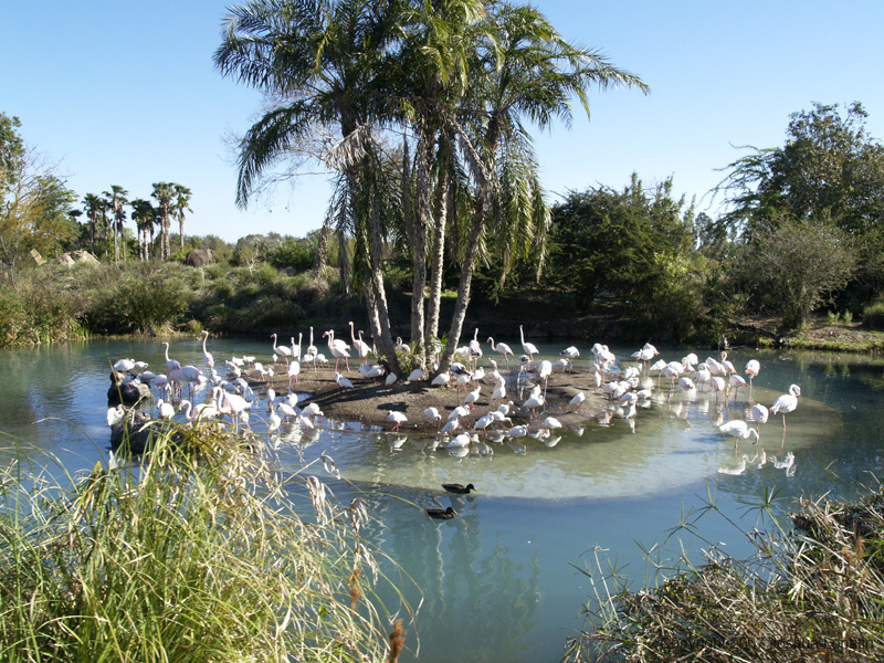 Disney slide show - 093