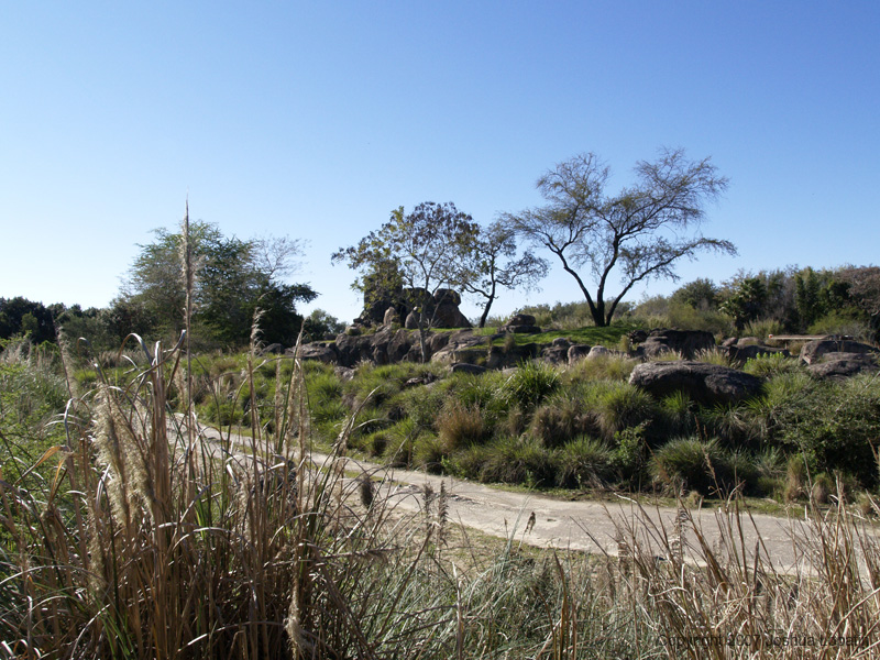 Disney slide show - 094