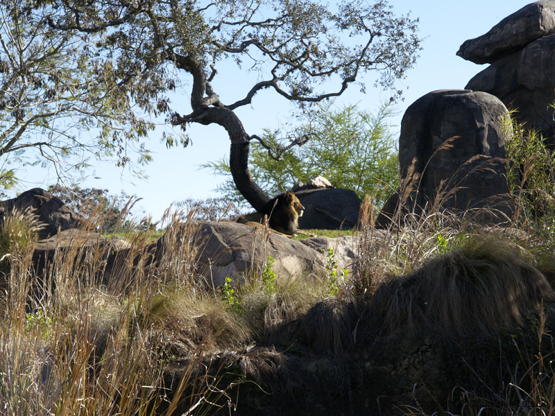 Disney slide show - 096