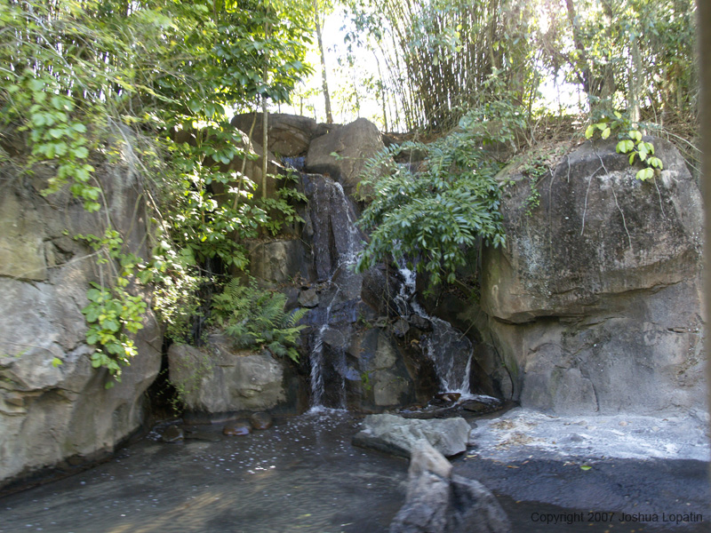 Disney slide show - 098