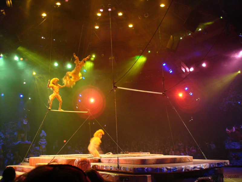 Disney slide show - 102