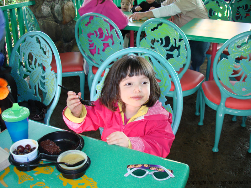 Disney slide show - 104