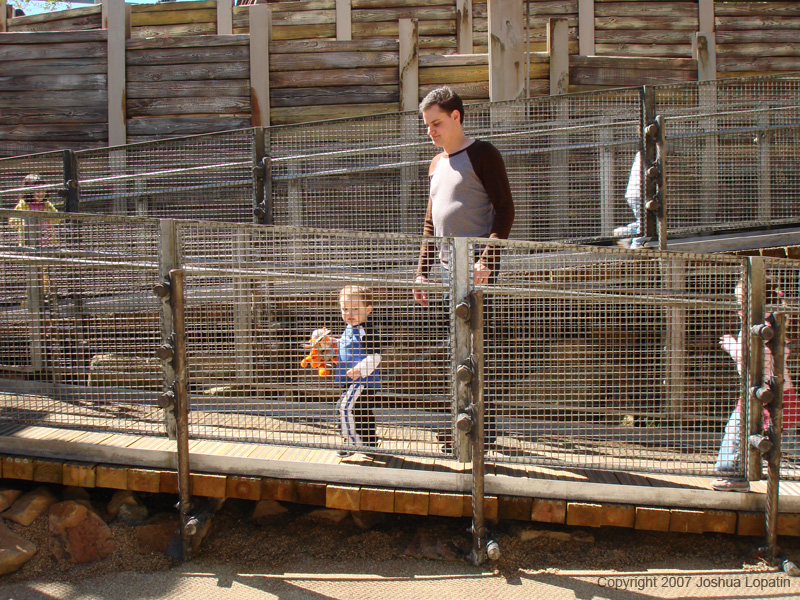 Disney slide show - 105