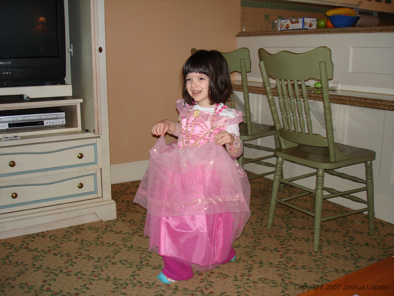 Disney slide show - 148