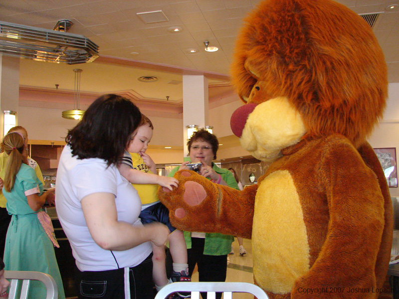 Disney slide show - 232