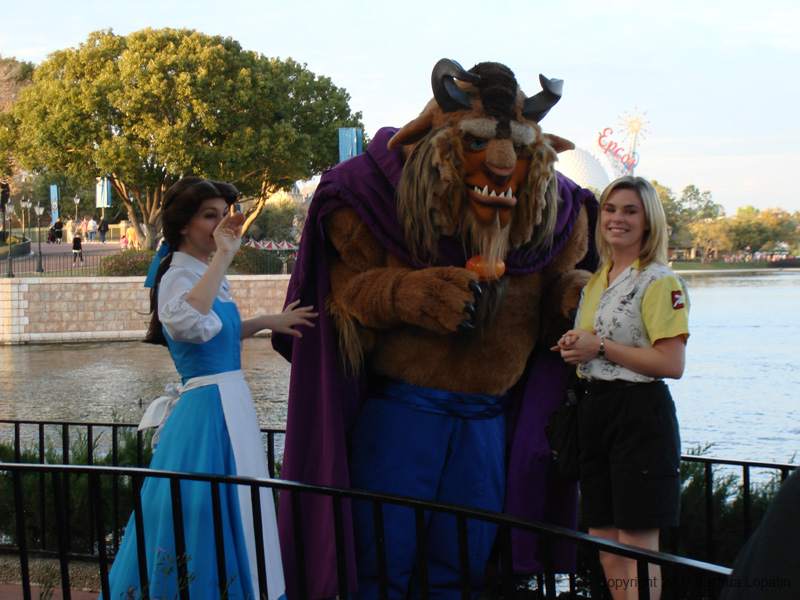 Disney slide show - 257