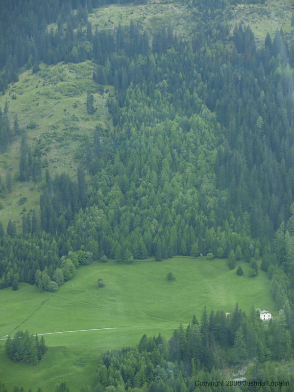 P5310861