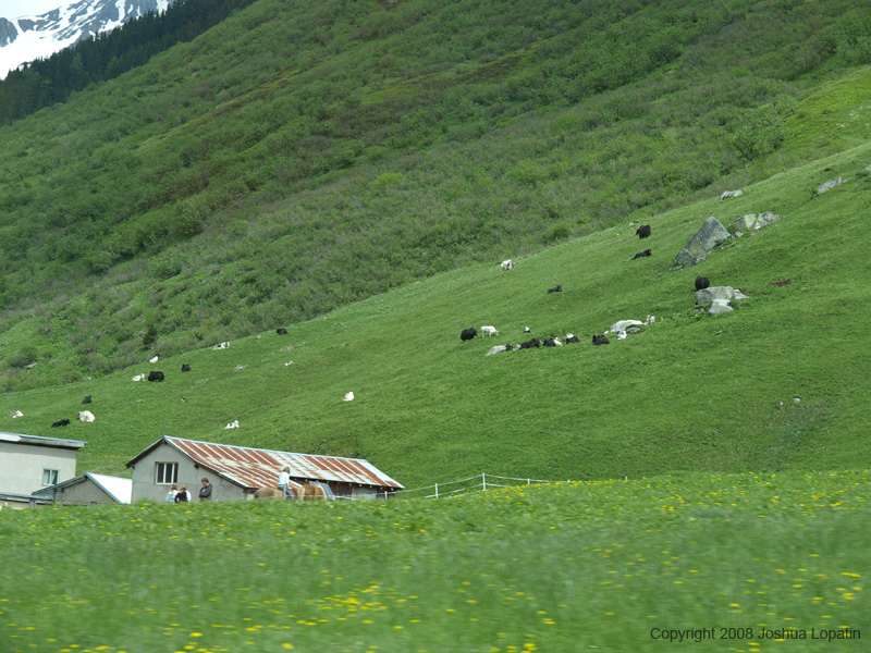 P5310909