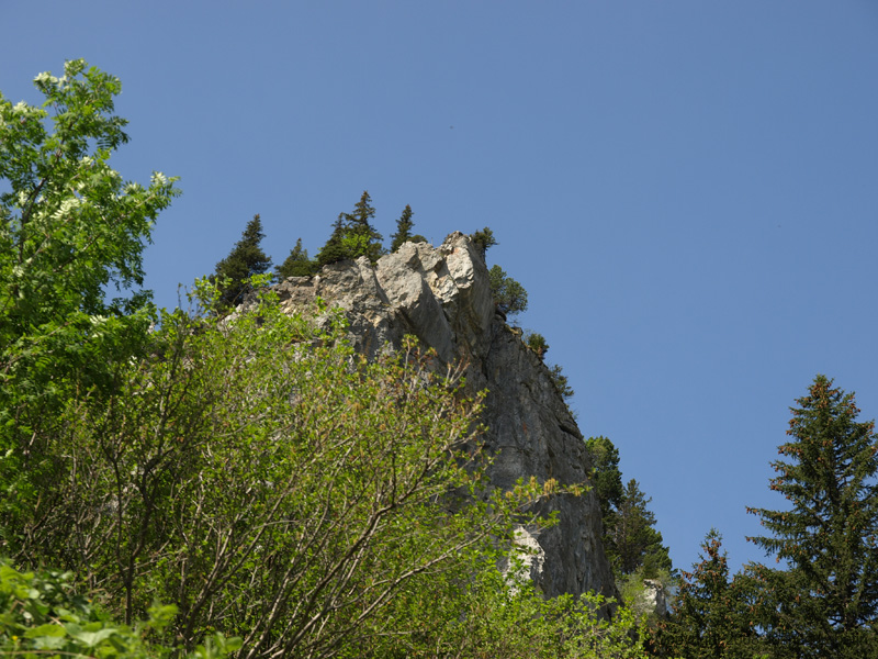 P6011002